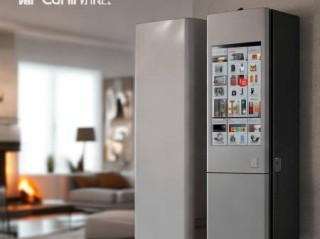 燃气壁挂炉选购指南：哪种更适合您的家庭