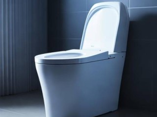 智能马桶断电故障：原因排查与解决办法