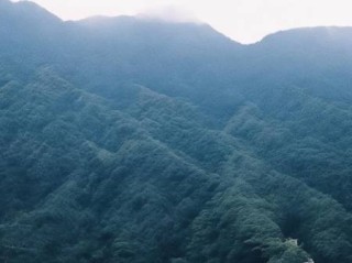 燃气灶插座安装攻略：轻松上手，安全无忧