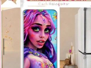 博世(BOSCH)冰箱维修热线管家解说（新疆阿凡提冰箱贴，夏日清凉好帮手）